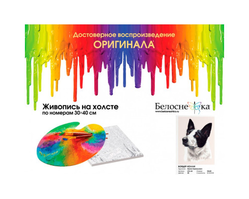 Картина по номерам на холсте "Бордер-колли" от "Белоснежка"