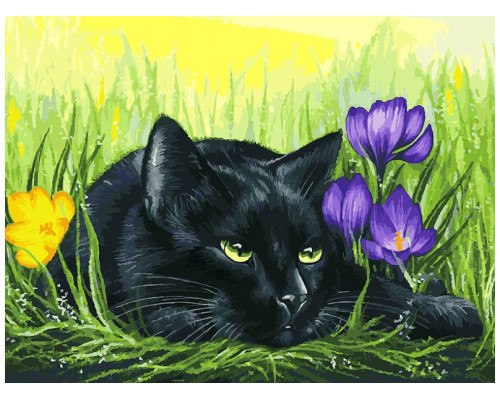 Картина по номерам на холсте "Кот и крокусы" (уценка) от "Белоснежка"