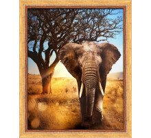 Алмазная мозаика без подрамника "Африканский слон"