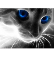 Алмазная мозаика без подрамника "Кошачий взгляд"