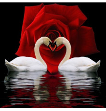 Алмазная мозаика без подрамника "Лебединая преданность"