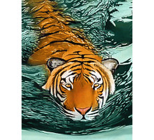 Алмазная мозаика без подрамника "Тигровые воды"