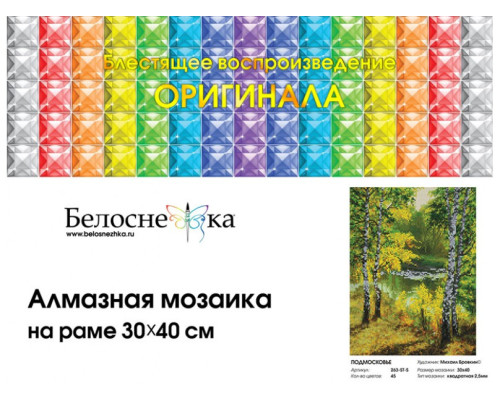 Алмазная мозаика на подрамнике "Подмосковье"