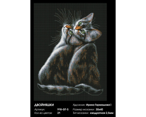 Алмазная мозаика на подрамнике "Двойняшки"