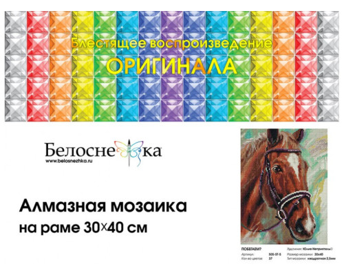 Алмазная мозаика на подрамнике "Побегаем?"