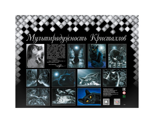 Алмазная мозаика на подрамнике "Отражение"