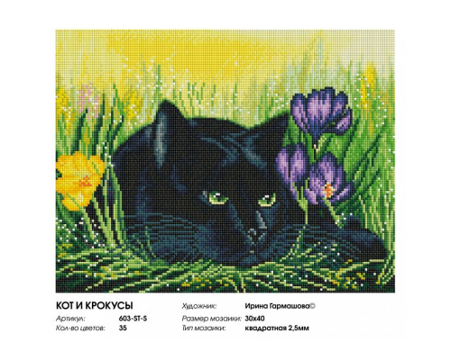 Алмазная мозаика на подрамнике "Кот и крокусы"