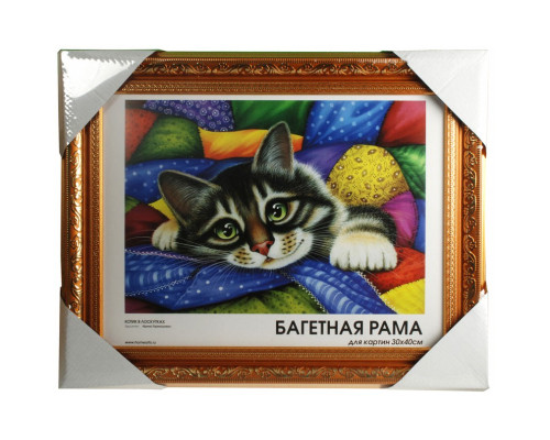 Готовая багетная рама "1242-BL Jasmine (с.коричневый+золотой)"