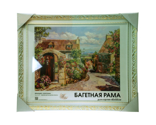 Готовая багетная рама "2081-BB Flora (серебряный)"