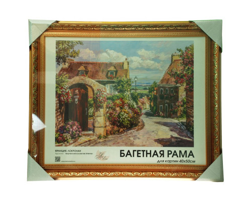 Готовая багетная рама "2042-BB Jasmine (с.коричневый+золотой)"